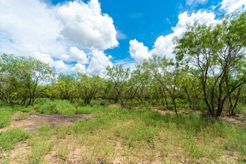 Poster - Texas farm land in the countryside