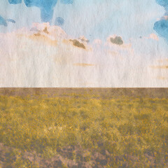 Wall Mural - in the fields, old retro background