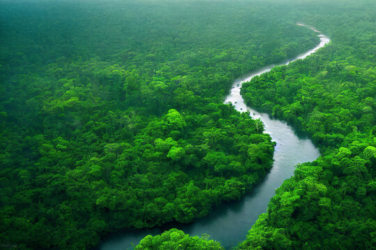 aerial view of the amazonas jungle landscape with river bend