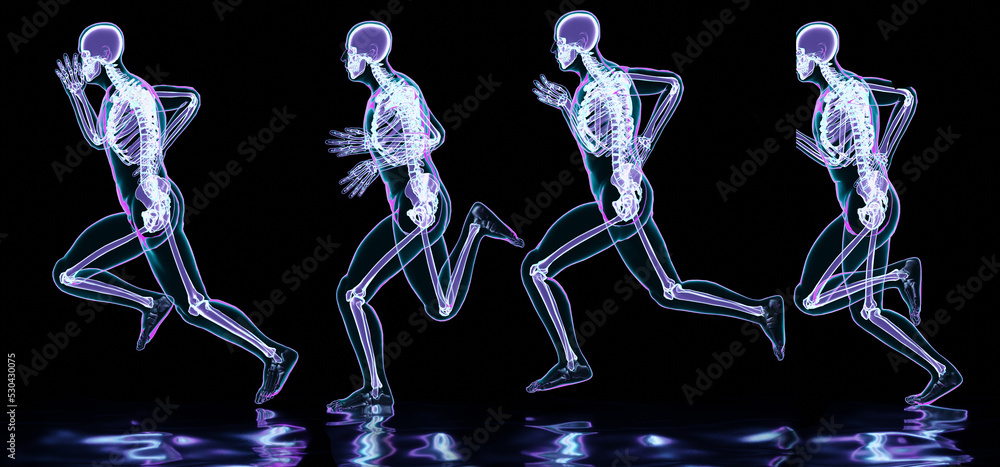 skeleton system of running man, bone Anatomy while run, human physical ...