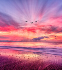 Wall Mural - Ocean Sunset Birds Nature Landscape Vertical