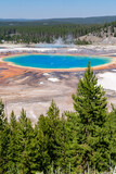 Fototapeta Krajobraz - Portrait view of Grand Prismatic Spring from the Fairy Falls overlook in Yellowstone National Park
