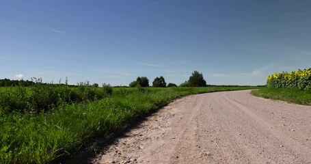 Wall Mural - Rural road for cars and transport, ruts and traces of cars on a sandy road in rural areas