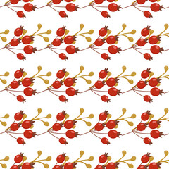 Wall Mural - beautiful autumn pattern red rosehip fruits and twigs can be used for posters banners backgrounds