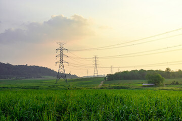 high voltage electricity distribution pole with trees shadow at sunset, electric supply transmission