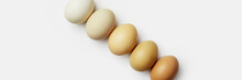 Close-up View Of Raw Chicken Eggs. Creative Minimal Photo Made Of Eggs On White Background. Color Gradient Brown Colored, Neutral Color Tones. Easter Trend Concept. Top View Wide Banner