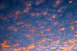 Stunning orange altocumulus clouds at sunset / sunrise. Amazing colorful sky.  Orange clouds on blue sky background