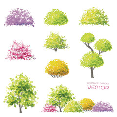 Wall Mural - vector trees collection,watercolor blooming flower tree or forest side view isolated on white backgr