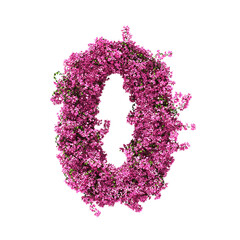 Wall Mural - 3d rendering of Bougainvillea number isolated