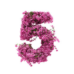 Wall Mural - 3d rendering of Bougainvillea number isolated