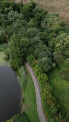 Poster - Vertical aerial view of green fields and forest at the lake