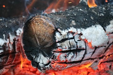 Poster - Closeup shot of burning firewood details