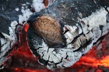 Poster - Closeup shot of burning firewood details