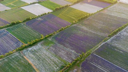 Sticker - Aerial top view of vast colorful agricultural fields