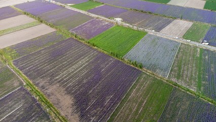 Sticker - Aerial top view of vast colorful agricultural fields with country road on the middle