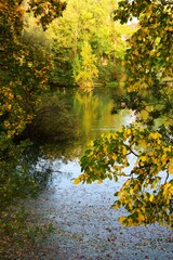 Wall Mural - Beautiful scenery of a park with a lake and colorful nature in autumn in daylight