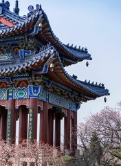 Sticker - Vertical shot of a Chinese building with beautiful design in a park in blue sky background