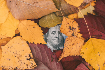 Benjamin Franklin in autumn foliage. The growth of the exchange rate in autumn