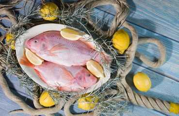 raw fresh fish Pink tilapia on a plate in rope loops,blue background