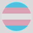 3d illustration Transgender flag on avatar circle. Freedom and love concept. Activism, community and freedom Concept.
