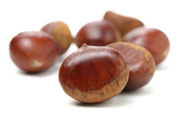 Wall Mural - chestnut on a white background