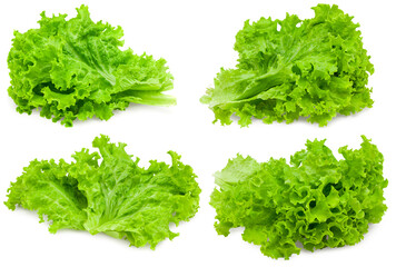 Wall Mural - salad leaves isolated on a white background. lettuce. clipping path