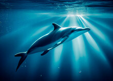 Dolphin Swimming Under The Surface Of The Water In The Sea, Fantasy Illustration