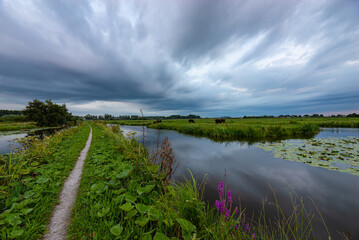 Wall Mural - dramatic looking clouds over a path between water filled ditches in the dutch polder landscape