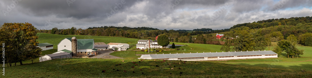 Amish farm with a white barn and chicken barn among green hilly fields ...