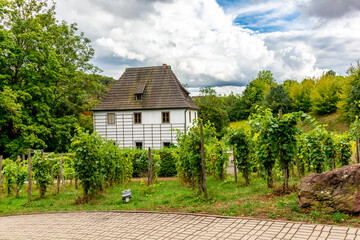 Wall Mural - Spaziergang durch die Parkanlagen von Bad Sulza - Thüringen - Deutschland