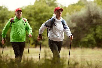 Two sportive people, middle age woman and man hiking in autumn forest at sunny day, outdoors. Scandinavian walking, healthy lifestyle