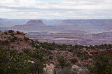 Wall Mural - Rock formations in the Utah Landscape