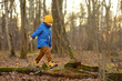 Cheerful child during walk in the forest on a sunny autumn day. Preschooler boy is having fun while walking through the autumn forest. Family time on nature.