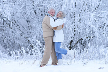 Wall Mural - Nicel elderly couple rejoice together in winter