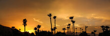 Palm Trees And Mountains In Silhouette Against A Golden Sunset Sky