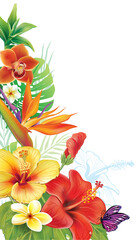 Wall Mural - Border with tropical plants and flowers