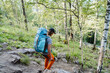 © Aleksey - The sight of a man descending from the mountain, a guy goes hiking with a backpack, down the trail, a mountain adventure, walk alone in the forest, a vacation in nature