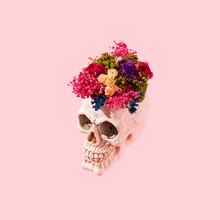 Abstract Idea Made Of Skull With Colorful Dry Flowers On Pastel Pink Background. Halloween Skull Or Day Of The Dead Concept.
