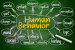 Human behavior mind map written on chalkboard
