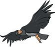 Condor chilean national bird flying