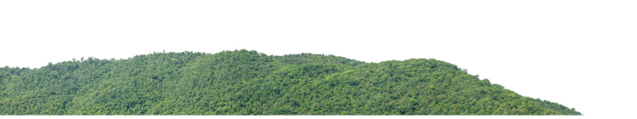 Leinwandbilder - rocky mountain hill with green forest isolated on transparent .background with clipping path and alpha channel