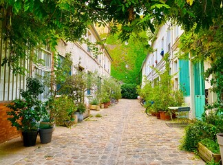 Wall Mural - The hidden street of Cite du Figuier in the city of Paris