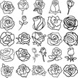 Roses Hand Drawn Doodle Line Art Outline Set Containing Rose, roses, rosebud, bloom, blossom, bud, floret, flower