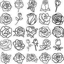 Roses Hand Drawn Doodle Line Art Outline Set Containing Rose, Roses, Rosebud, Bloom, Blossom, Bud, Floret, Flower