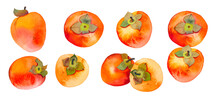 Watercolor Set Of Persimmon Fruits, Hand Painted Nature Elements On A Transparent Background, Decorative Botanical Illustrations