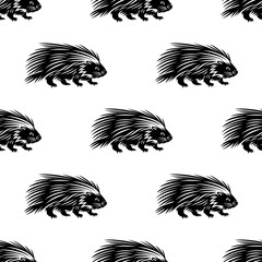 Wall Mural - Seamless pattern with porcupines on white background.