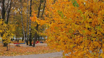 Wall Mural - Mom and son are playing on playground among fall leaves and large autumn trees. Woman with a child on walk in city autumn park.