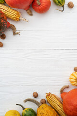 Wall Mural - Autumn background with pumpkin harvest