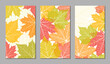 Floral vector templates with autumn leaves. Plant print for holiday stories, greeting cards, banners. Natural trendy web-design. Set of textured backgrounds. Botanical art.