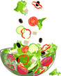 Bowl of fresh vegetable salad illustration